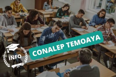 conalep temoaya