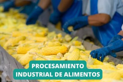 carrera de procesamiento industrial de alimentos en conalep